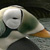 Spectacled Eider