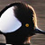 Hooded Merganser