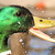 Mallard