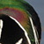 Wood Duck